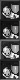 /Digitalstack/otclient/raw/commit/dbf5e8266b28d52dc56d694bec6a1f59e27e1575/modules/game_battle/battle_party.png